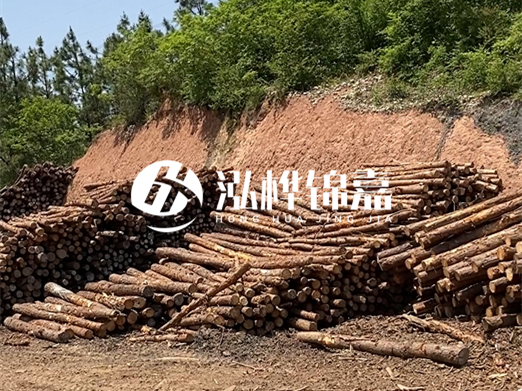 油松打樁木和落葉松打樁木的價(jià)格差異是多少？哪個(gè)性價(jià)比更高？