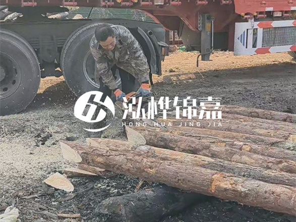 松木圓木價(jià)格大概多少一方-松木樁廠家按方可以賣嗎？