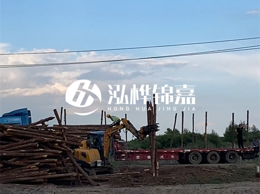河北打樁木源頭廠家泓樺錦嘉 - 北方常用打樁木是什么？