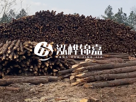 地基打木樁用什么木材 - 地基打木樁的能撐幾年？