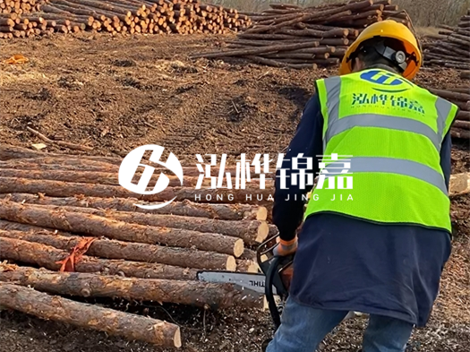 哪些木樁廠家能提供快速定制服務(wù)？哪些木樁廠家在國內(nèi)有多個生產(chǎn)基地？