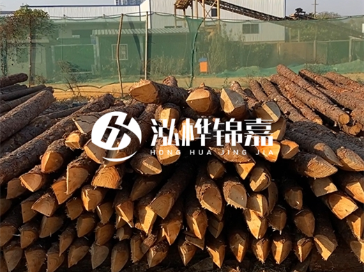 松木樁6米15cm打樁多少錢一根-專業(yè)打木樁隊聯(lián)系電話？