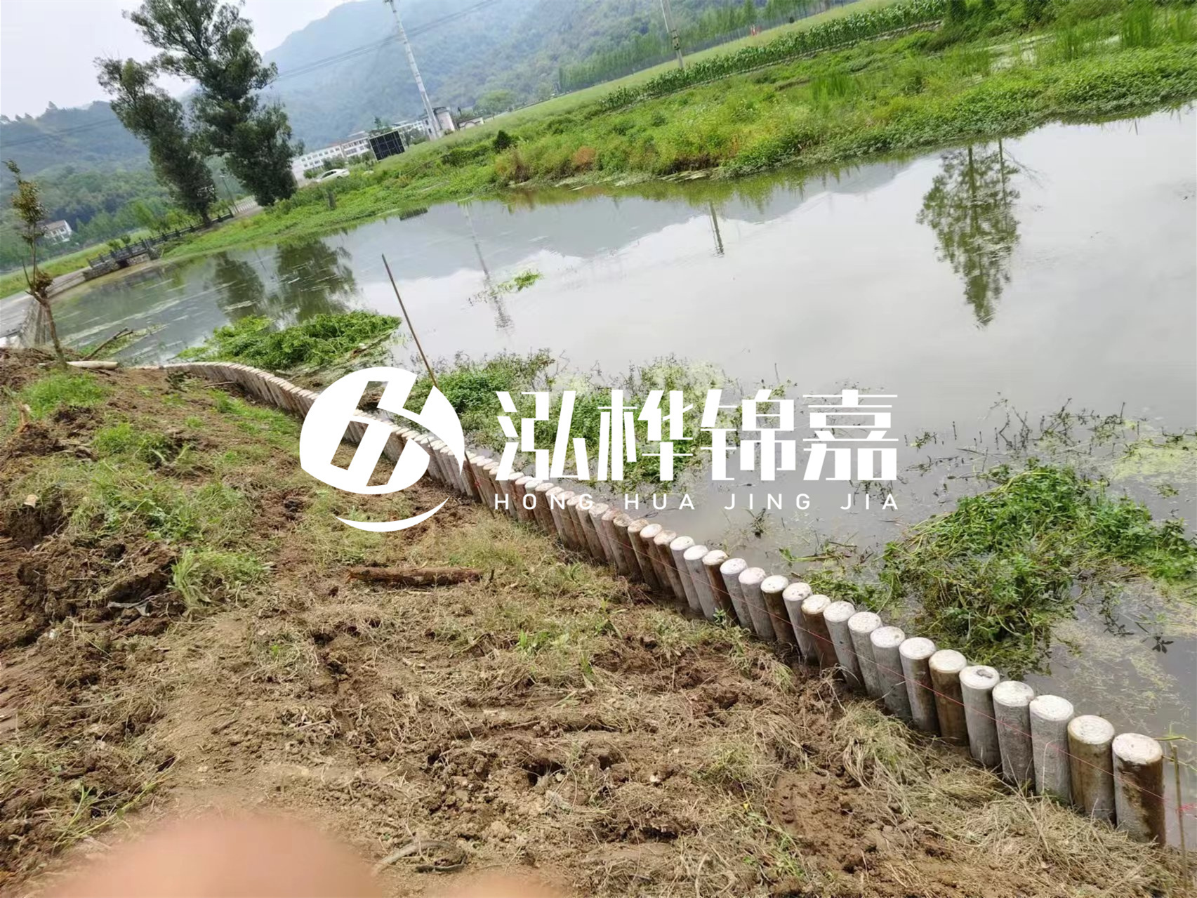 松木樁加固河道與水泥樁對(duì)比如何？哪一種更加適合您？