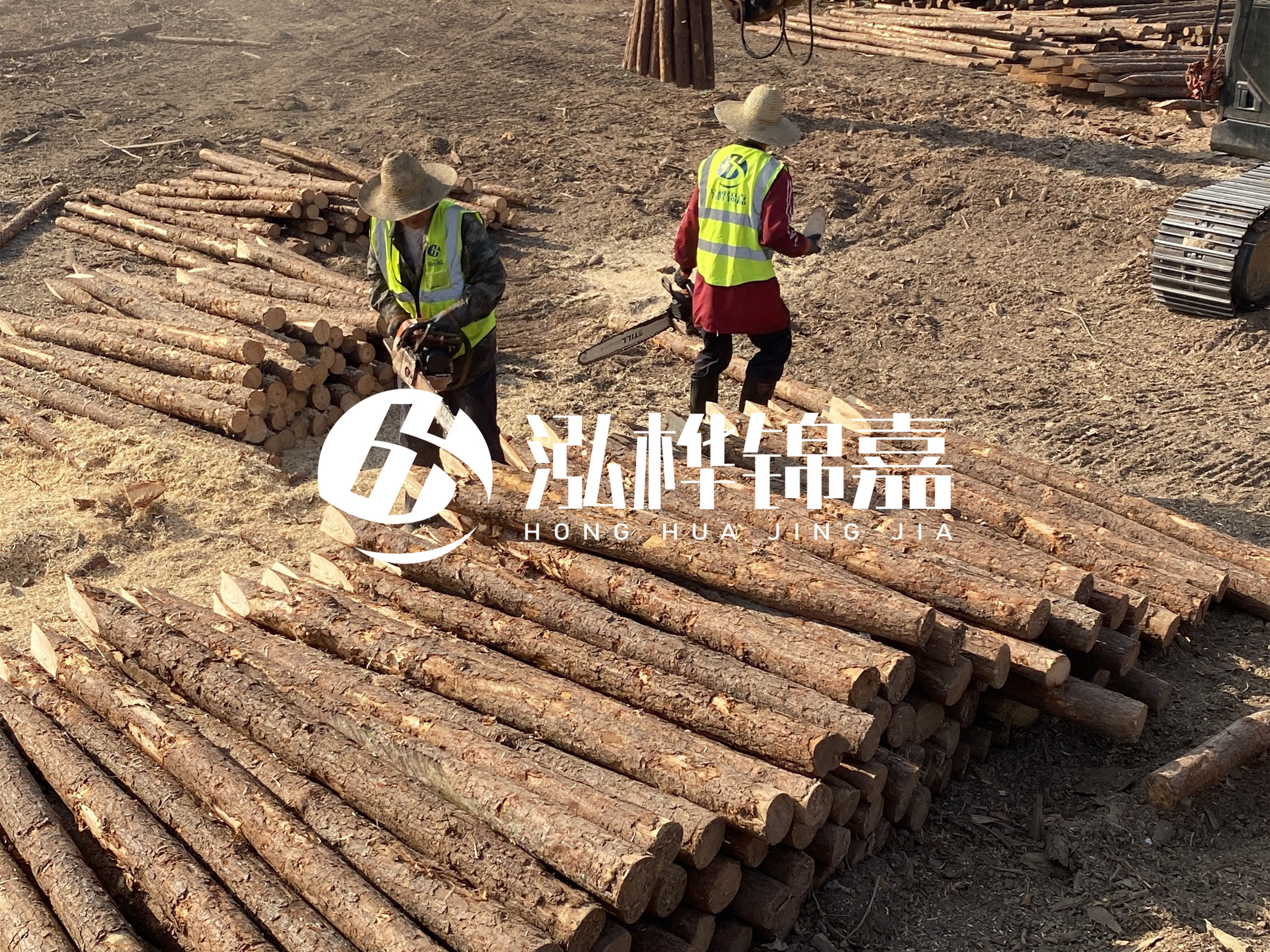 河道木樁報(bào)價(jià)在汛期前后會(huì)有波動(dòng)嗎？什么時(shí)候買最便宜？