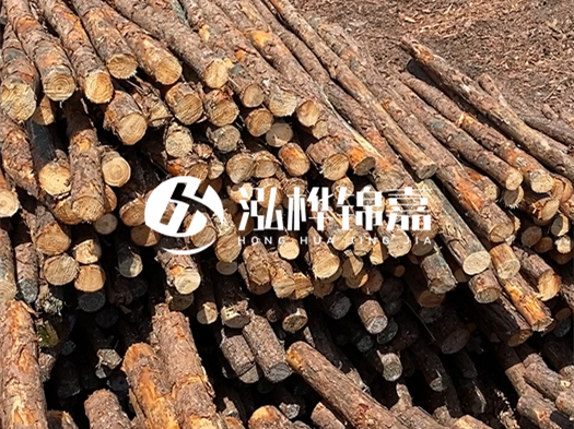 江西有哪些松木樁生產廠家？松木樁廠在什么位置？