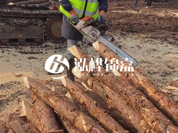 松木樁河道護坡怎么施工？打樁多少錢一根？