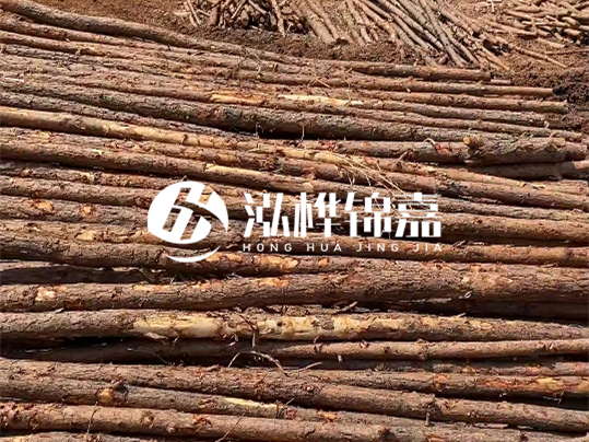 10公分的木材多少根為一方 - 4米10公分樹多少根為一方？