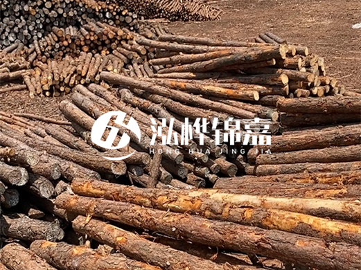 浙江打樁木源頭廠家泓樺錦嘉-松木廠家批發(fā)電話地址？