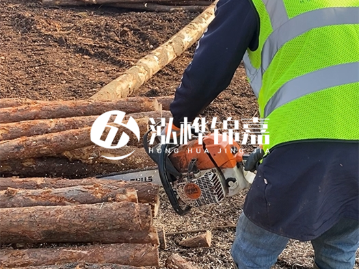 河道打木樁多少錢一根？5米直徑10松木樁打樁多少錢？