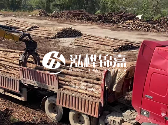 四川松木樁廠家泓樺錦嘉-哪一種打樁木最便宜？