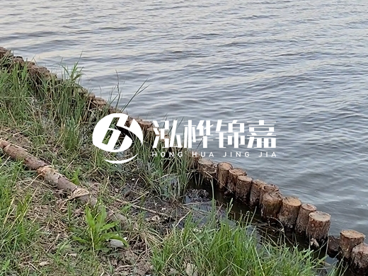 防洪松木樁施工重要性？河道打木樁的位置怎么確定？