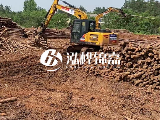 河道松木樁廠家聯(lián)系方式-6米10-15公分價(jià)格是多少？