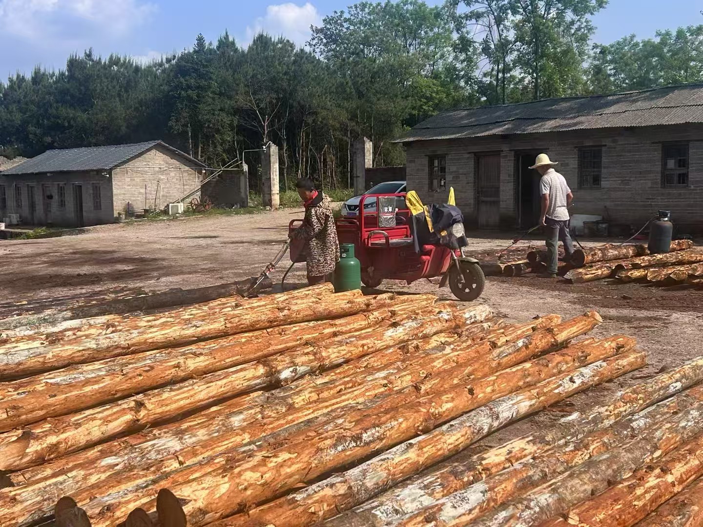 松木樁批發(fā)廠家泓樺錦嘉-圍堰松木樁為什么要交錯排列？