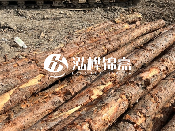 松木樁廠家泓樺錦嘉-原木松木樁的材質(zhì)是落葉松還是濕地松好？