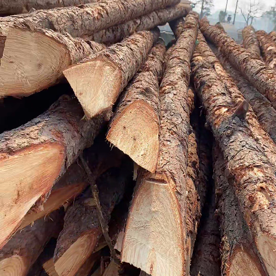 松木樁施工隊泓樺錦嘉 - 原木松木樁怎么辨別是否為實心？