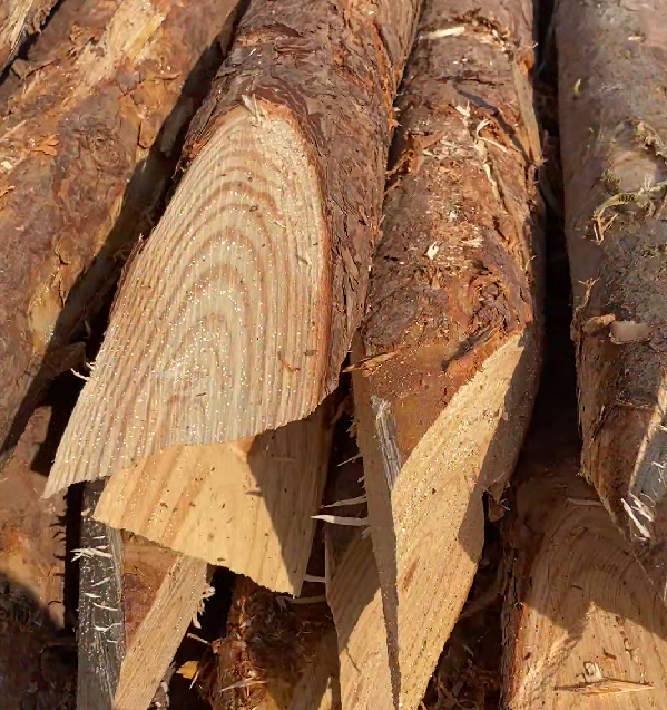 松木樁施工隊(duì)泓樺錦嘉 - 原木松木樁的最低起訂量是多少？