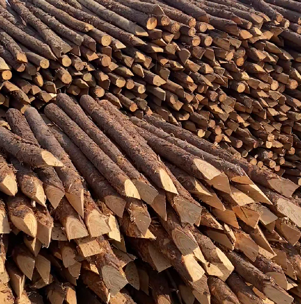 松木樁施工隊(duì)泓樺錦嘉 - 河道駁岸樁的檢測(cè)標(biāo)準(zhǔn)是什么？