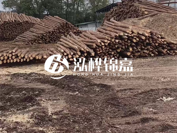 松木樁施工隊(duì)泓樺錦嘉-河道駁岸樁選擇松木還是水泥材質(zhì)更合適？