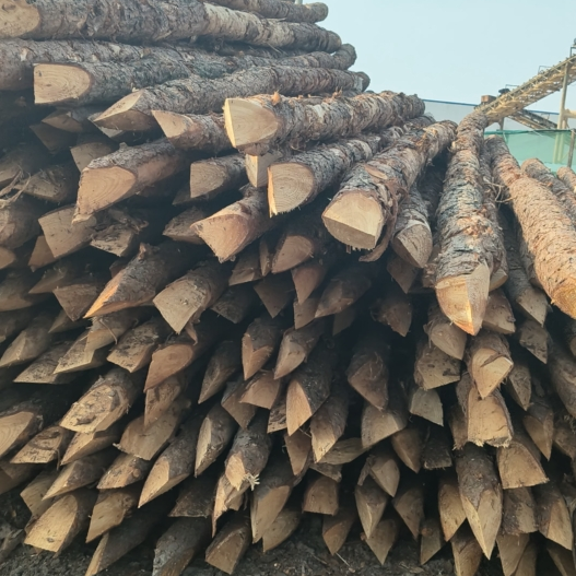 松木樁施工隊(duì)泓樺錦嘉 - 河道改造用什么規(guī)格的打樁木？