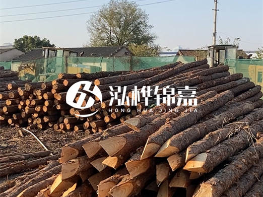 松木樁施工隊(duì)泓樺錦嘉 - 河道打樁用什么木樁？