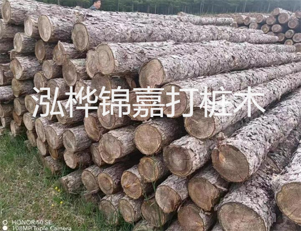 高效修補，保駕護航！水泥路面高強度修補料為您解決煩惱！