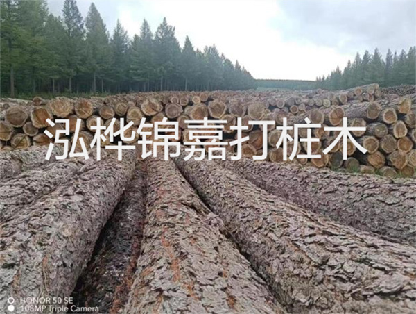 高效施工，圓松木樁助力建筑工程進展順利