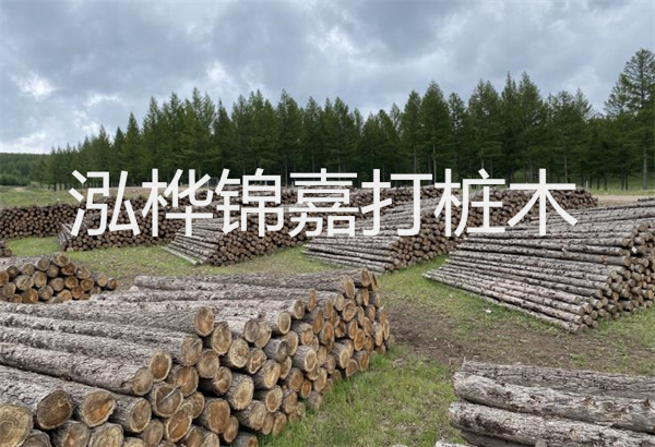 預(yù)制松木樁施工工藝：優(yōu)質(zhì)材料，高效快速，堅(jiān)固耐用