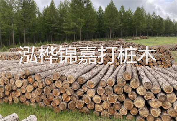 松木樁能施工嗎？探究視頻揭秘真相！