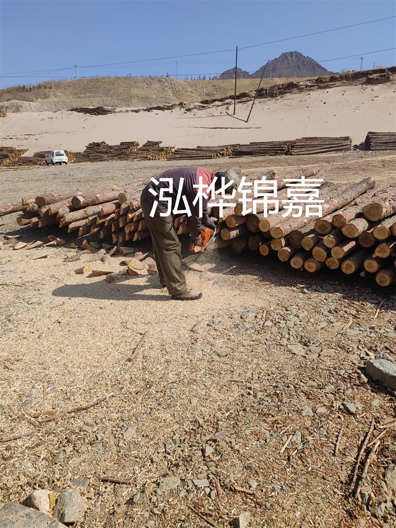 松木樁駁岸施工，打造水上風(fēng)景線