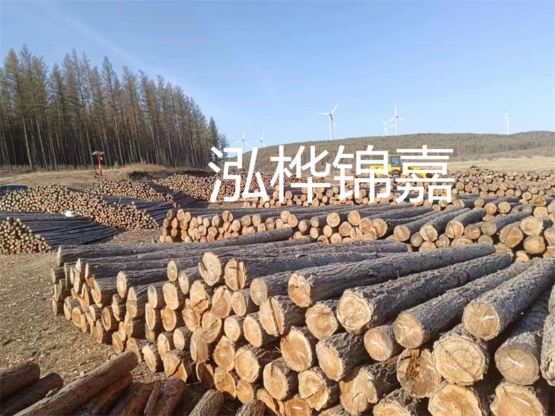 用路基松木樁施工方案提升工程質(zhì)量描述：了解路基松木樁施工方案的重要性，提高工程質(zhì)量關(guān)鍵詞：路基松木樁，施工方案，工程質(zhì)量