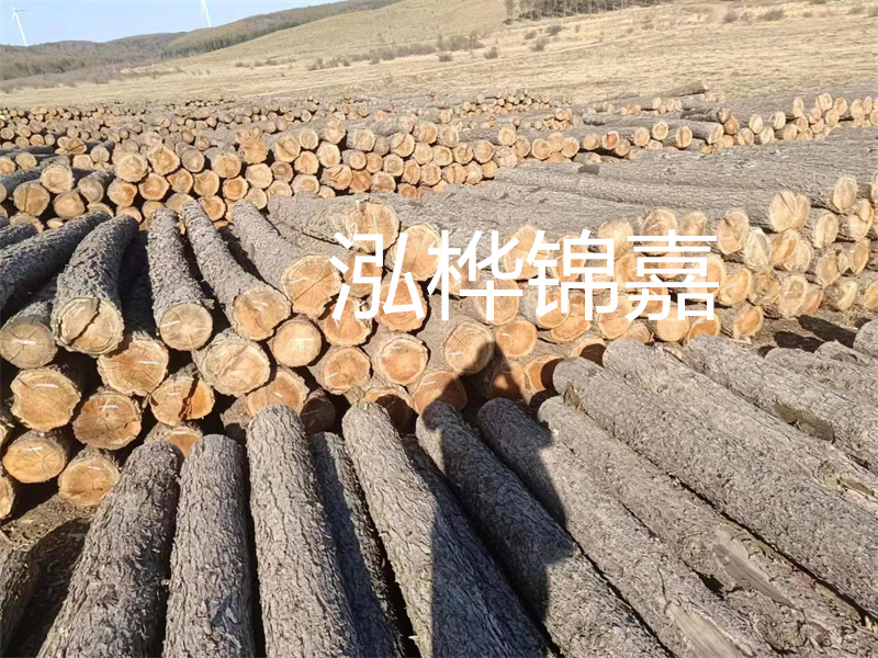 選擇合適的路緣石尺寸，打造美麗道路