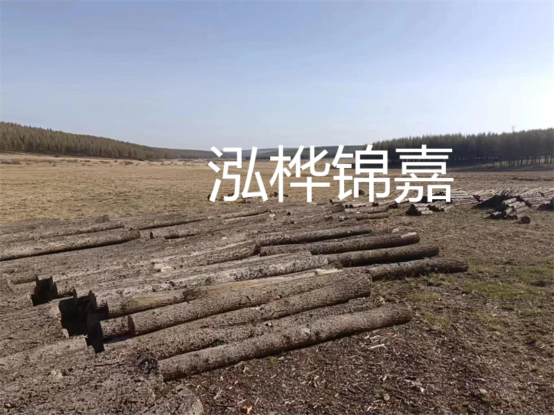 鄂州松木樁哪里好？推薦泓樺錦嘉松木樁業(yè)！